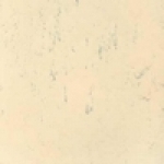 A photo of a fox