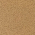 A photo of a fox