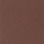 A photo of a fox