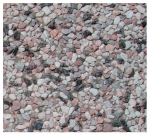 A photo of a fox