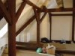 A photo of a fox