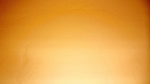 A photo of a fox
