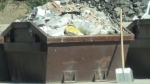 A photo of a fox