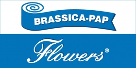 Brassica-pap výrobce toaletních papírů Flowers