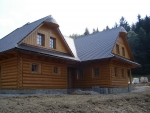A photo of a fox