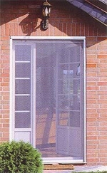 A photo of a fox