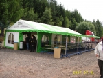A photo of a fox