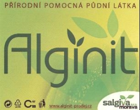 Alginit