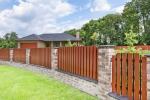 A photo of a fox
