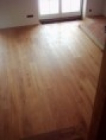 A photo of a fox