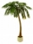 Palmy a stromy XL