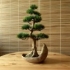Umělá bonsai Celly (42cm) 
