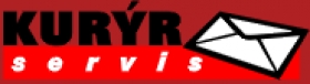 Airport servis