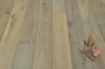 A photo of a fox