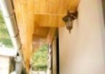 A photo of a fox