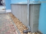 A photo of a fox