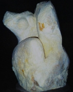 A photo of a fox