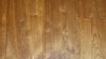 A photo of a fox