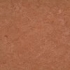 Linoleum