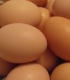 Prodej domácích vajec 
