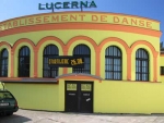 A photo of a fox