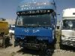 A photo of a fox