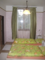 A photo of a fox