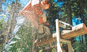  Benzínové pily pro zemědělství a zahradnictví