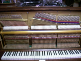  Drobný servis pian u zákazníka