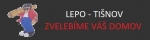 A photo of a fox