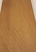 A photo of a fox
