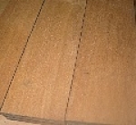 A photo of a fox