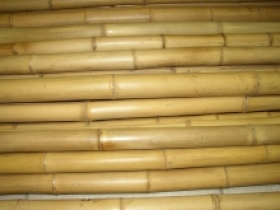  Bambusové tyče 