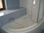 A photo of a fox