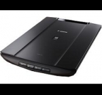 A photo of a fox