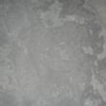 A photo of a fox