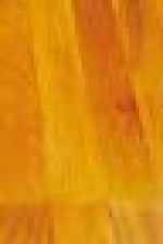 A photo of a fox