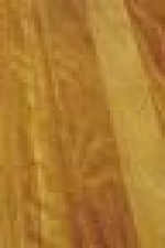 A photo of a fox