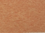 A photo of a fox
