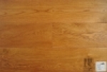 A photo of a fox