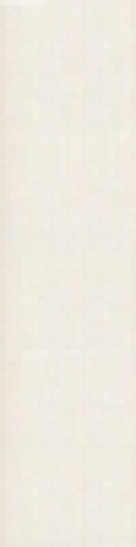 A photo of a fox