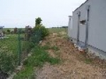 A photo of a fox