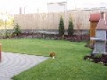 A photo of a fox