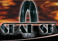 Logo firmy