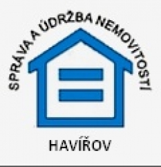 Strojní čištění koberců a sedacích souprav