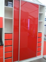 A photo of a fox