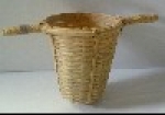 A photo of a fox