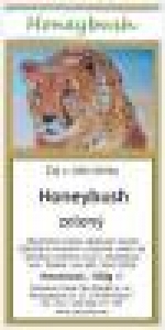 A photo of a fox