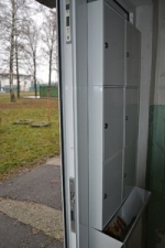 A photo of a fox