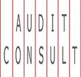 AUDIT CONSULT Brno, s.r.o. auditorská licence KA ČR č. 107 AUDIT CONSULT, a.s.